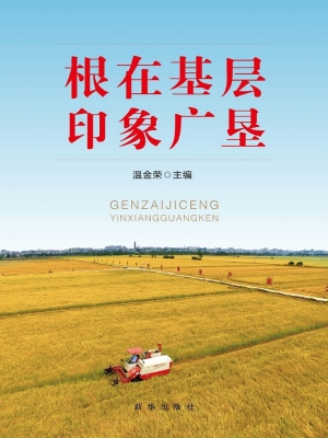 根在基层 印象广垦
