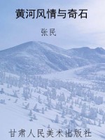 黄河风情与奇石