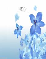 项链