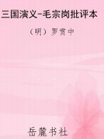 三国演义-毛宗岗批评
