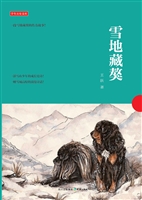 雪地藏獒
