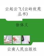 云起云飞（云岭玫苑丛书