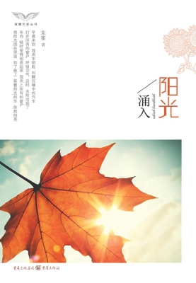 阳光涌入
