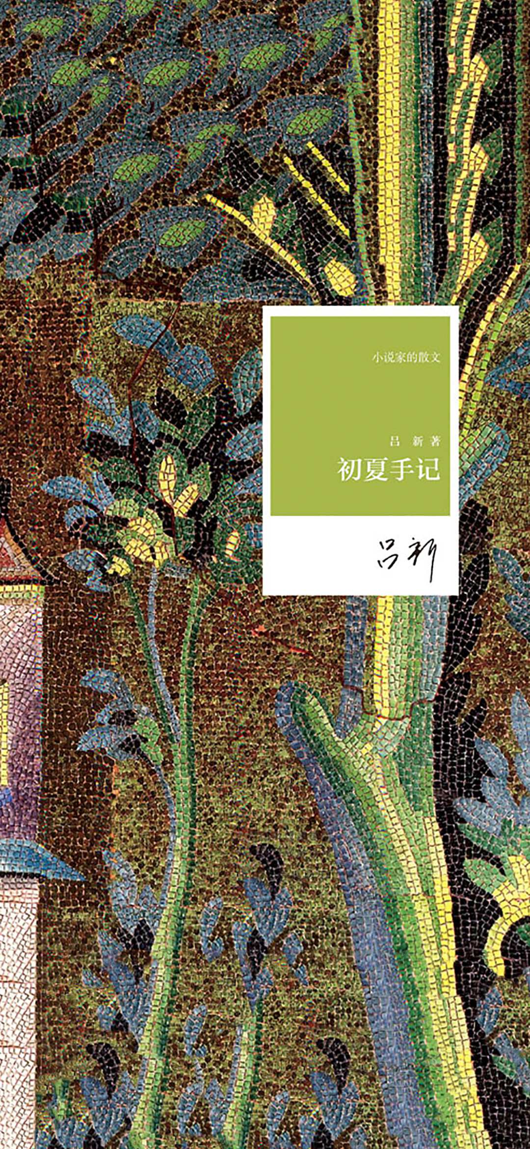 初夏手记