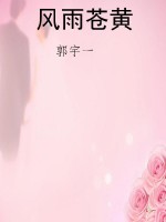 风雨苍黄