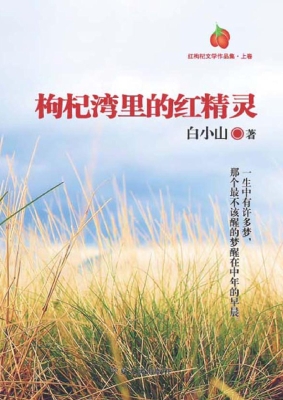 枸杞湾里的红精灵