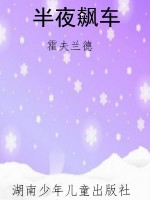半夜飙车