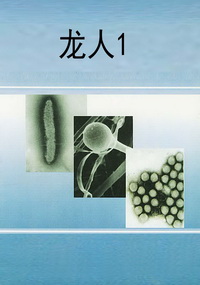 龙人1