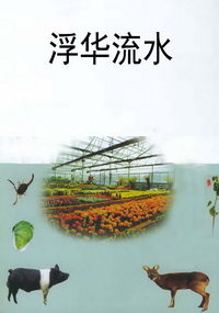 浮华流水