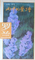 雨中的紫丁香