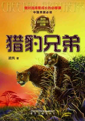 凌岚动物励志故事——