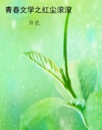 青春文学之红尘滚滚