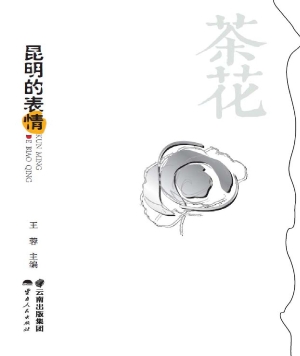 昆明的表情