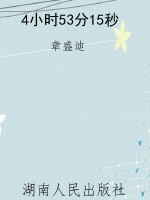 4小时53分15秒