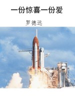 一份惊喜一份爱