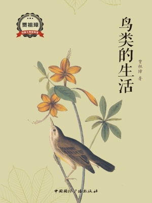 鸟类的生活