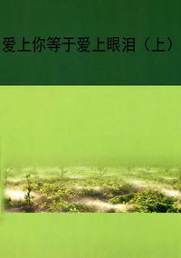 爱上你等于爱上眼泪（上