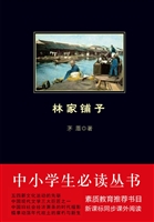 林家铺子