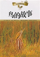 鸟的故事