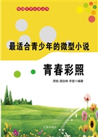 最适合青少年的微型小