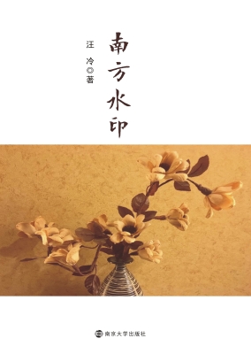 南方水印