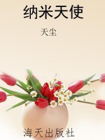 纳米天使