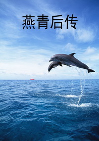 燕青后传