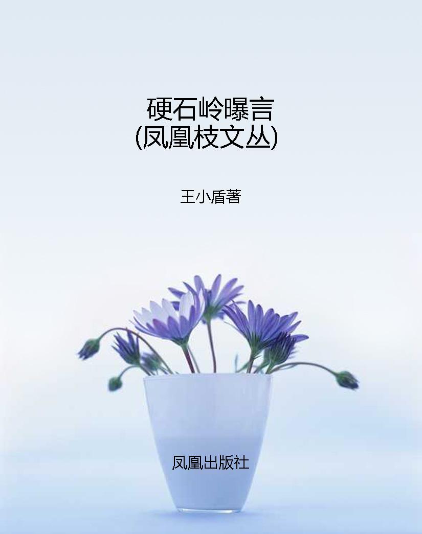 硬石岭曝言（凤凰枝文丛