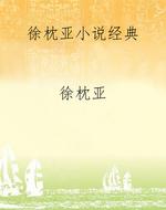 徐枕亚小说经典
