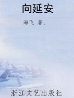 向延安