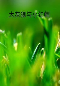 大灰狼与小红帽