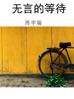 无言的等待