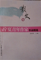 宁夏青年作家作品精选
