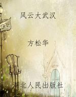 风云大武汉