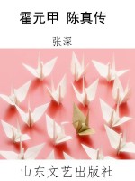 霍元甲 陈真传