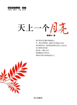 天上一个月亮
