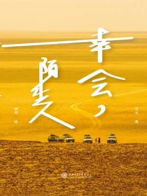 幸会，陌生人