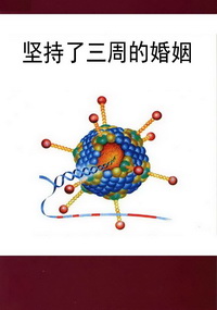 坚持了三周的婚姻