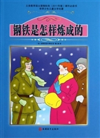 钢铁是怎样炼成的