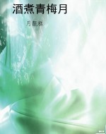 酒煮青梅月