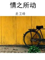 情之所动