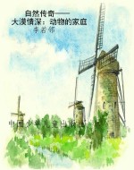 自然传奇——大漠情深