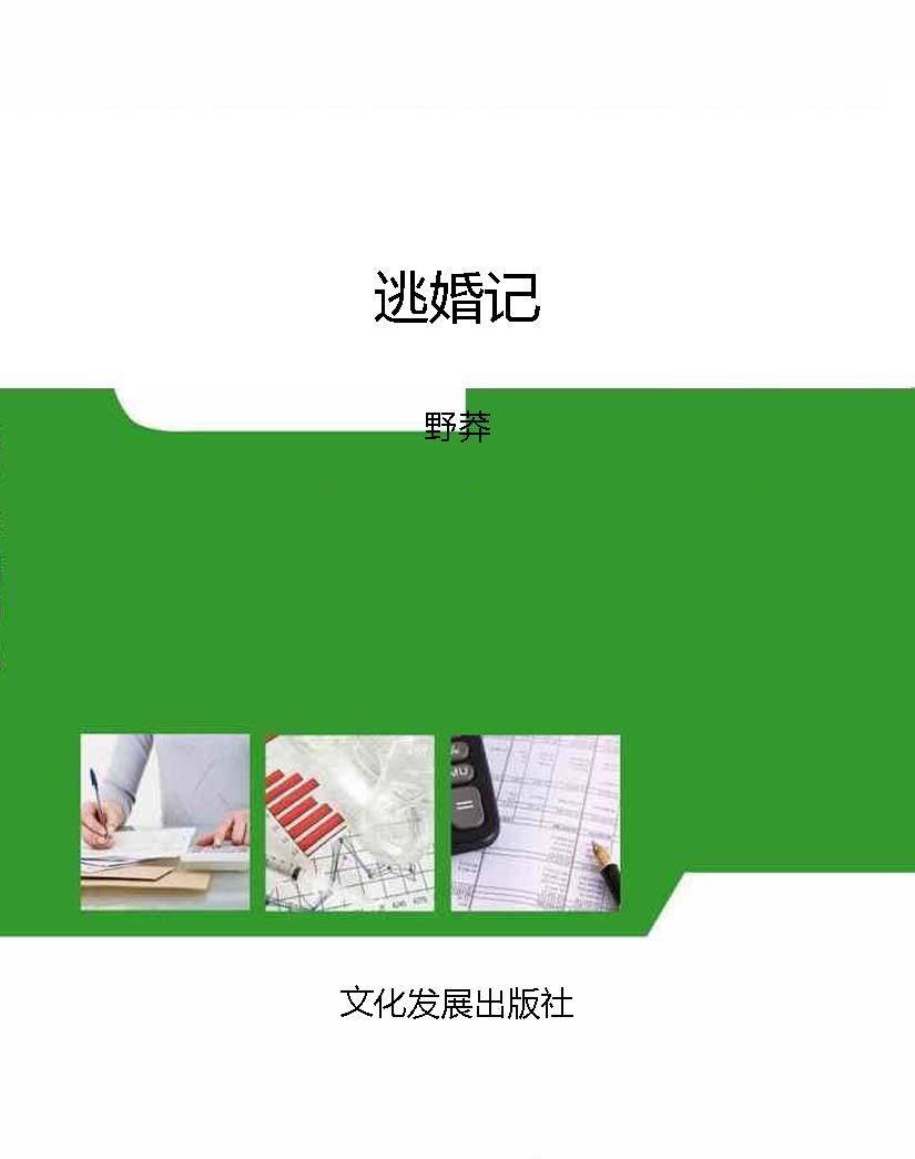 逃婚记