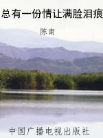 总有一份情让满脸泪痕