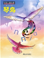 琴鸟