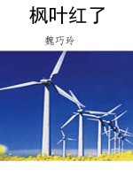 枫叶红了