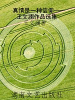 真情是一种信仰——王