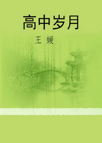 高中岁月