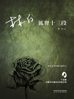狐狸十三段