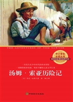 汤姆·索亚历险记
